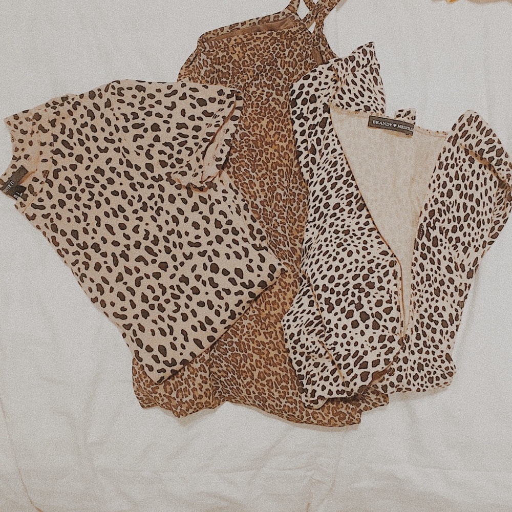 Cheetah bundle